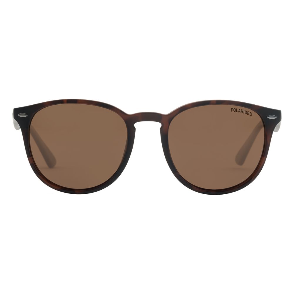 RACOON - Satin Tortoise with Polarized Brown Lens