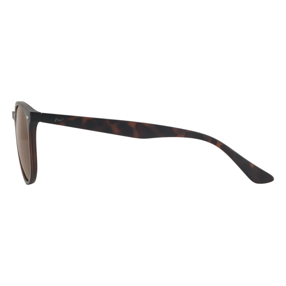 RACOON - Satin Tortoise with Polarized Brown Lens